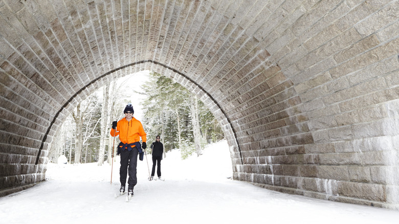 Happy cross-country skiers