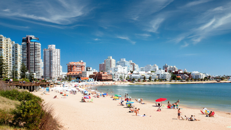 View of Punta de Este and the surrounding city