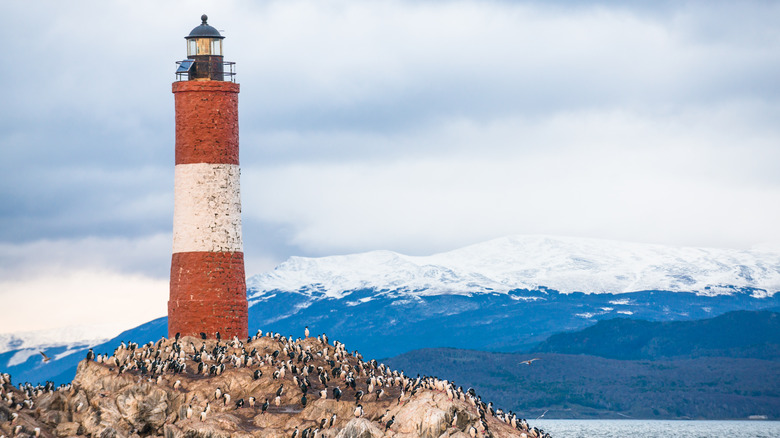 Les Eclaireurs Lighthouse with penguins in Tierra del Feugo