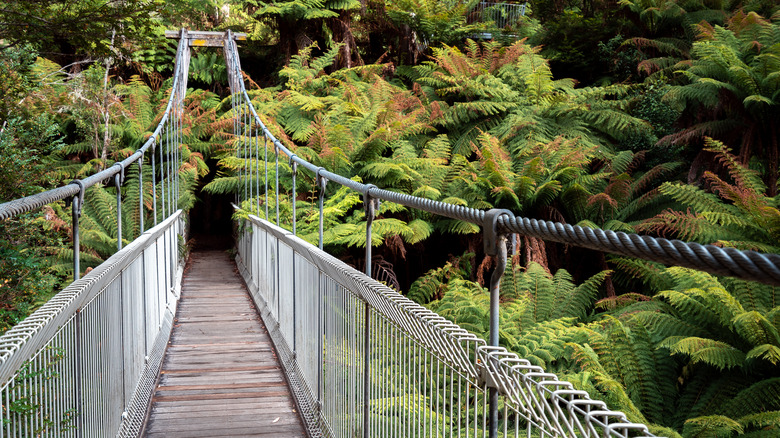 Corrigan Suspension Bridge