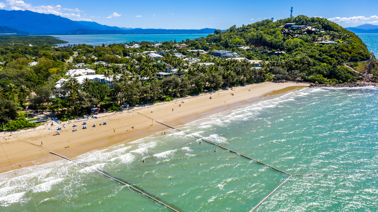 aerial view of beach in Port Douglas Australia