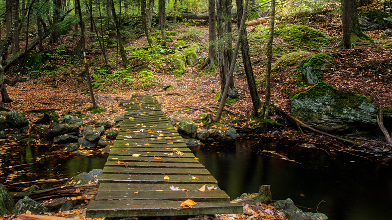 hiking trail, Royalston