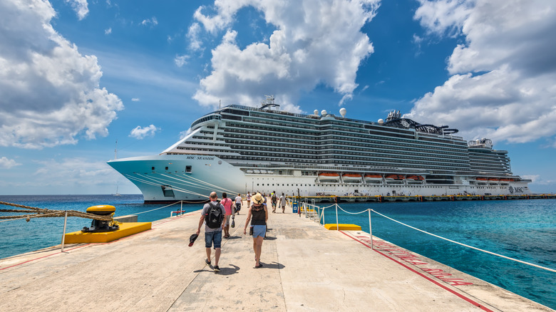 people walking on cruise dock