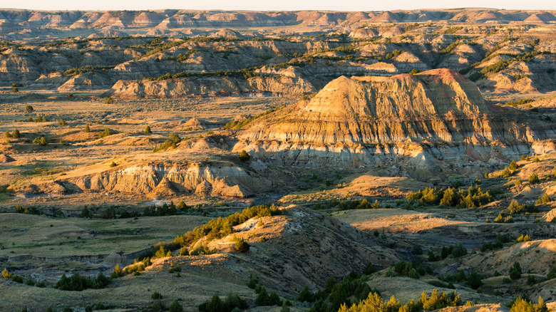 Sunrise in the Badlands