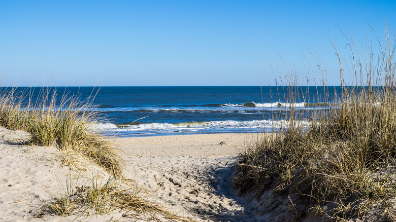 walking path to Sandbridge Beach 