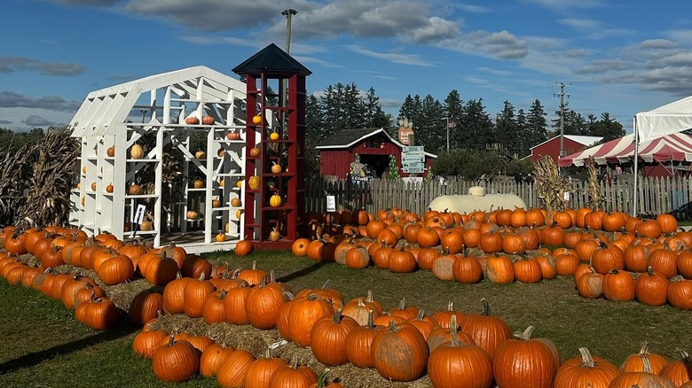 Blake's Orchard, Armada, Michigan