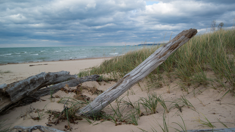 Beach near Pentwater, Michigan