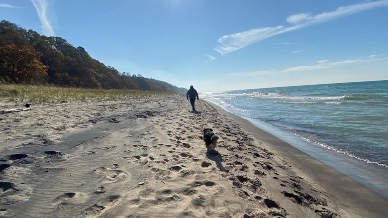 Grand Mere State Park, Michigan