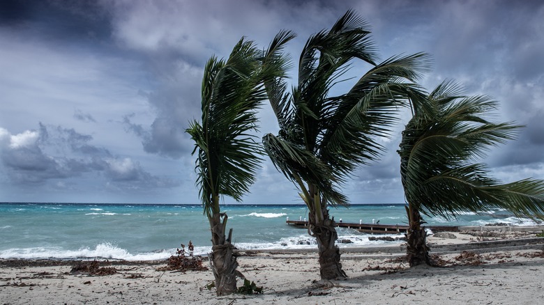 Hurricane in the Cayman Islands