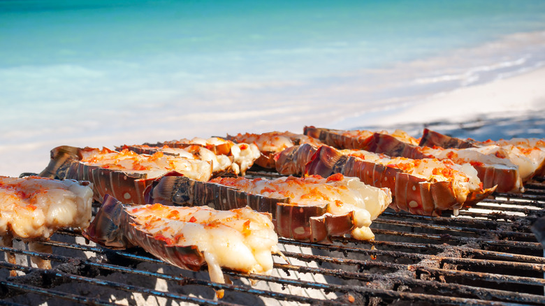 Lobster on a seaside grill