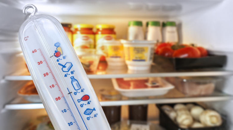 Thermometer with inside of full fridge in background