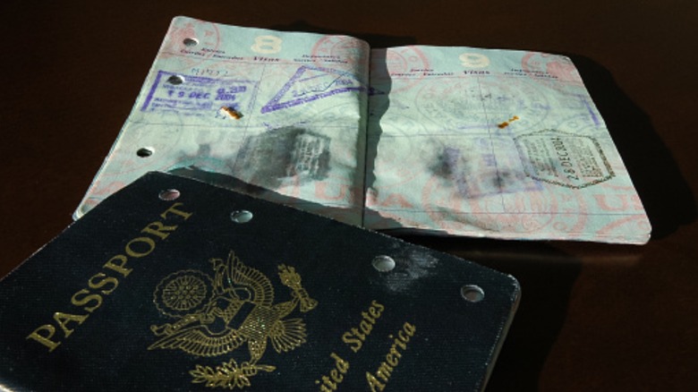 Damaged passport with water