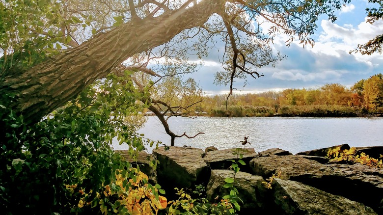 Willow Bay at Onondaga Lake Park in New York