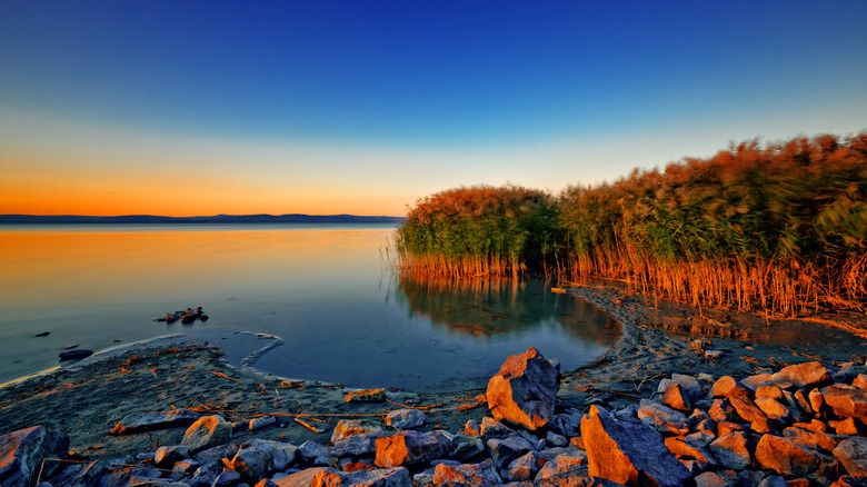 lakeshore at sunset