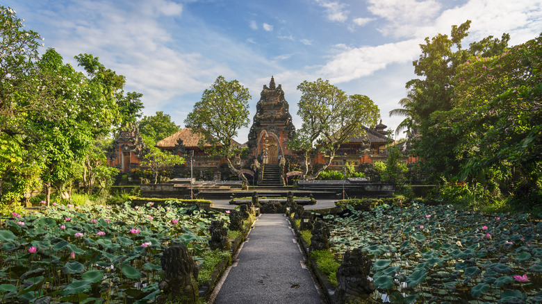 A lotus pond and Saraswati Temple in Ubud