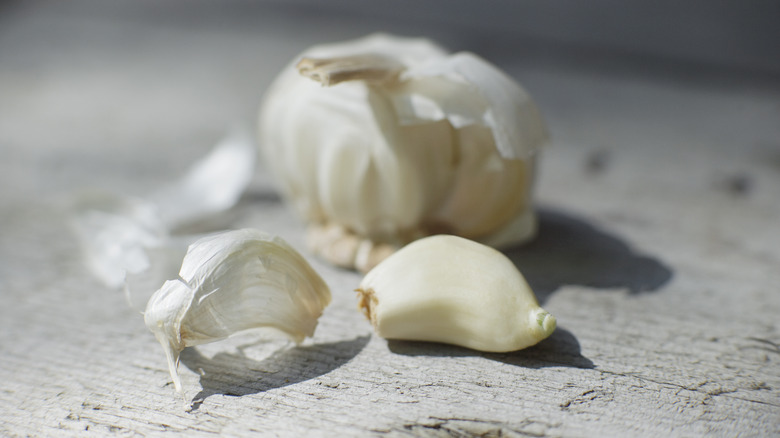 Garlic bulb close up