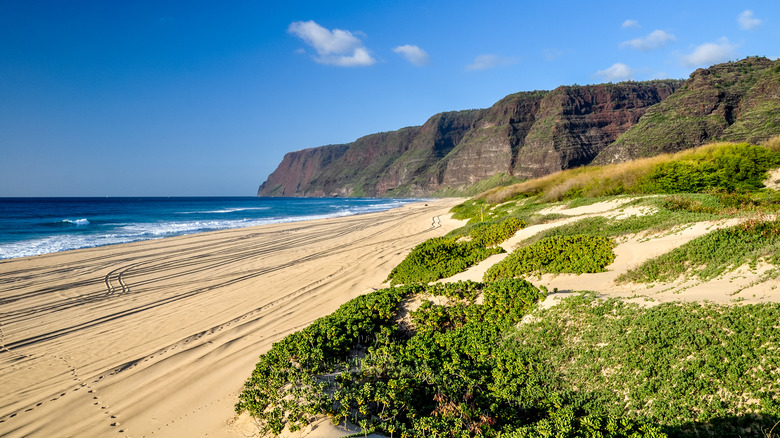 Beach at Polihale State Park