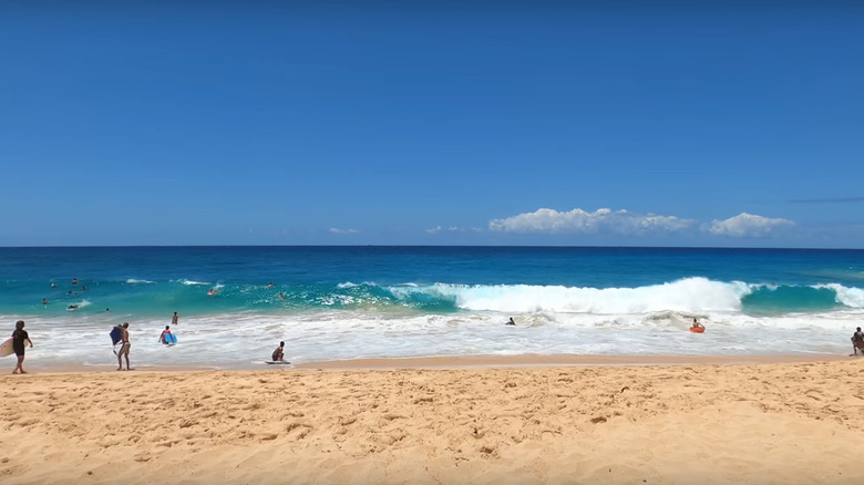 Waves at Oahu's Sandy Beach