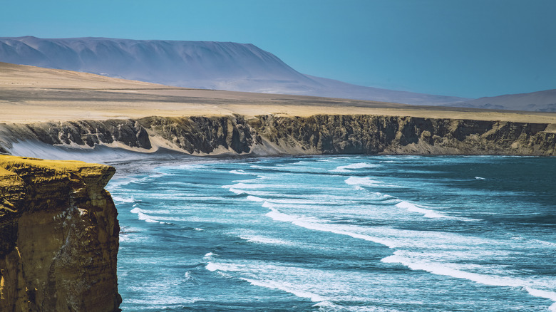 Peru's Paracas National Reserve