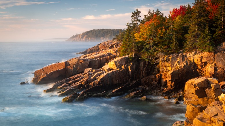 acadia national park in fall 