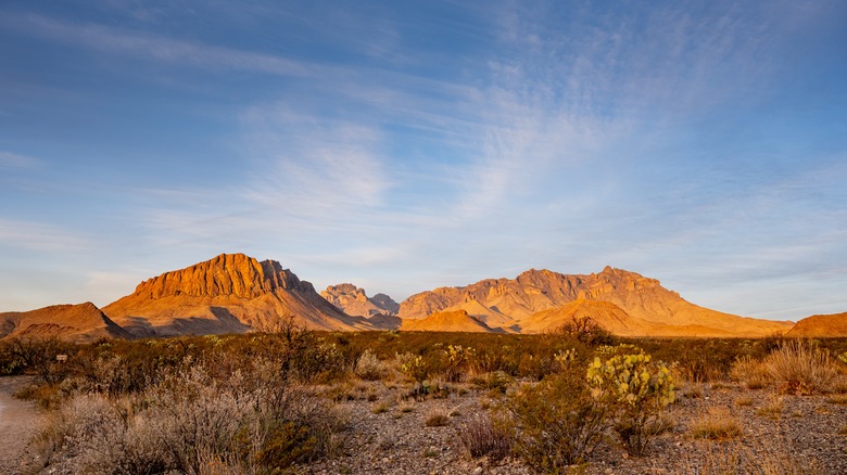 big bend national park