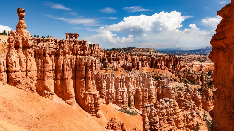 rock formations bryce canyon