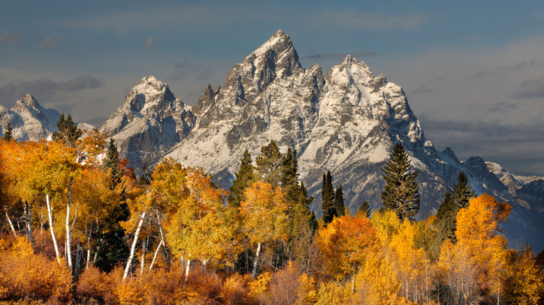 grand teton in fall