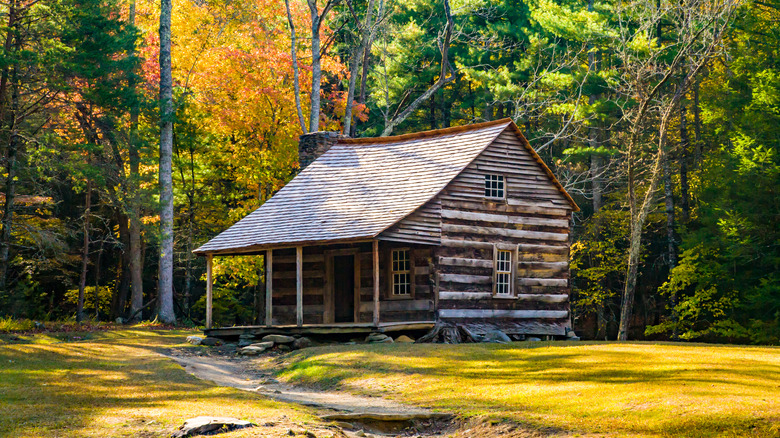 great smoky mountains cabin