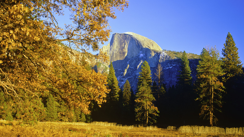 yosemite half dome fall