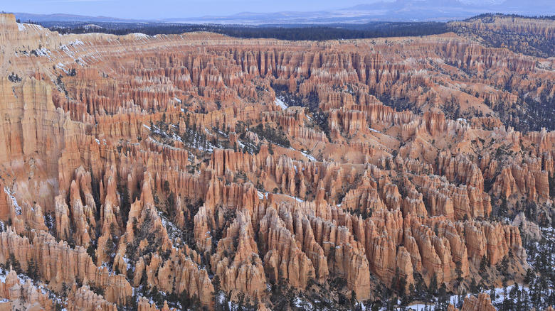 Bryce Canyon National Park Hoodoos