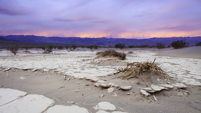 Death Valley Park salt flats