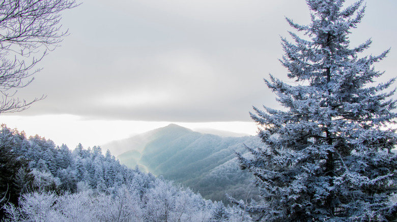 Great Smoky Mountains in winter
