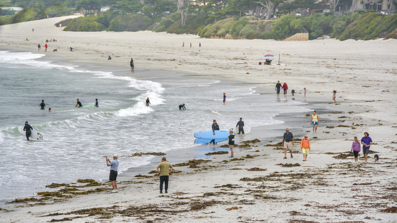 surfers on Carmel-by-the Sea beach