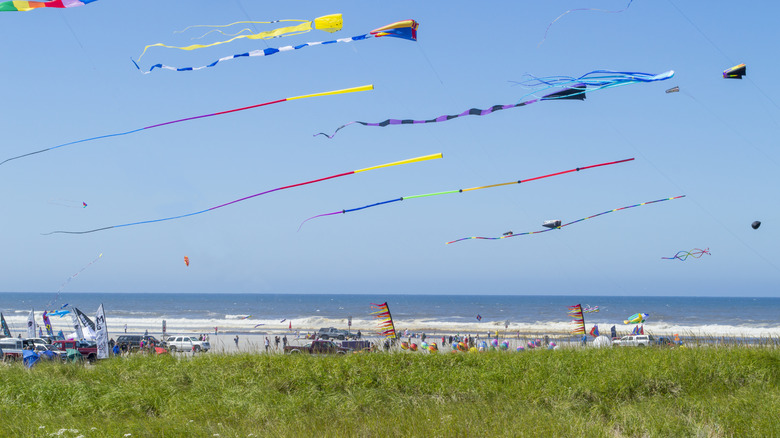 kites at Long Beach