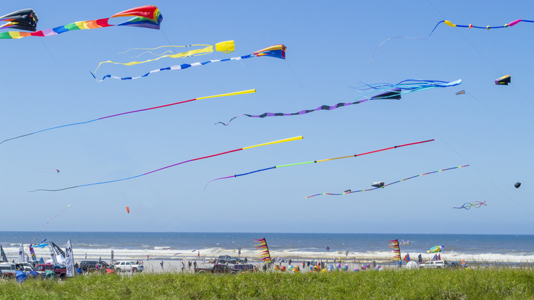 Kites flying above Long Beach