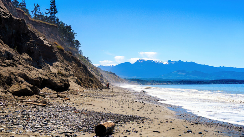 Beach at Dungeness Spit