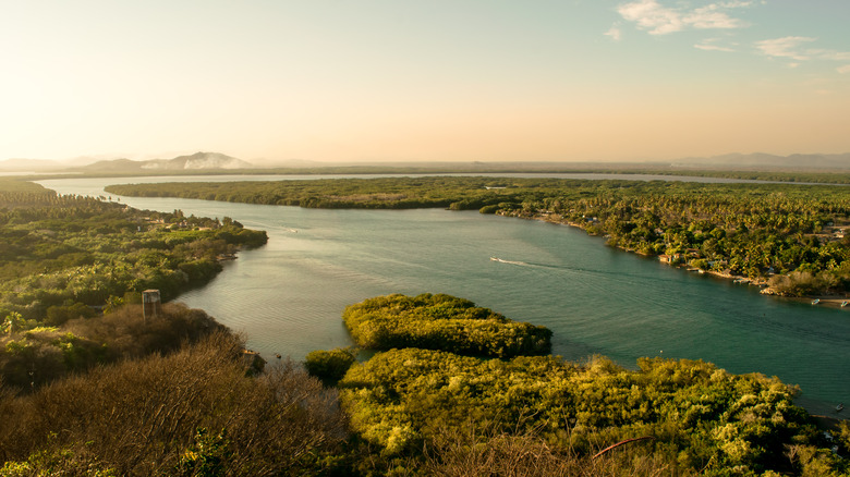 A lagoon view in Chacahua