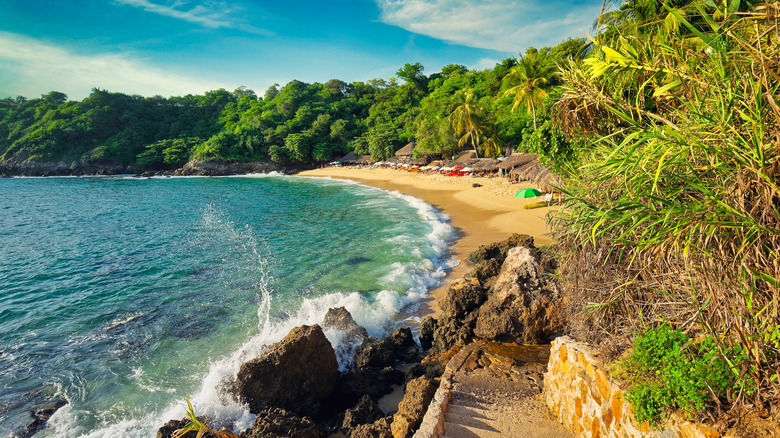 Playa Carrizalillo in Puerto Escondido