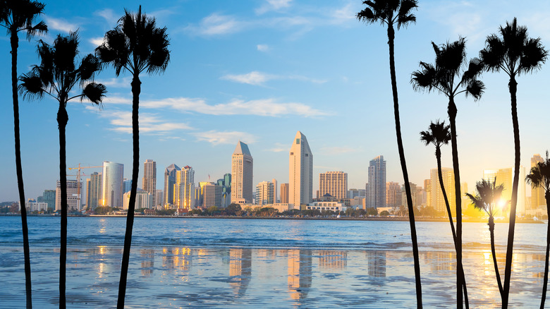 Palm trees are silhouettes against a gleaming San Diego skyline