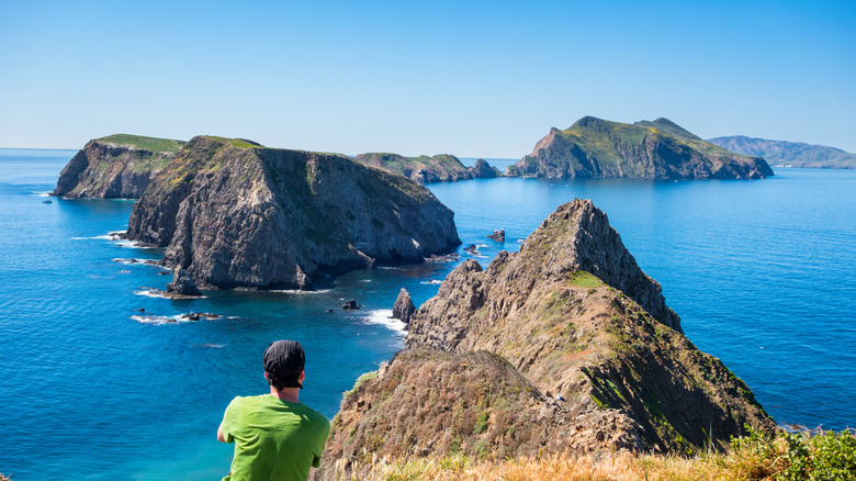 man overlooking Channel Islands