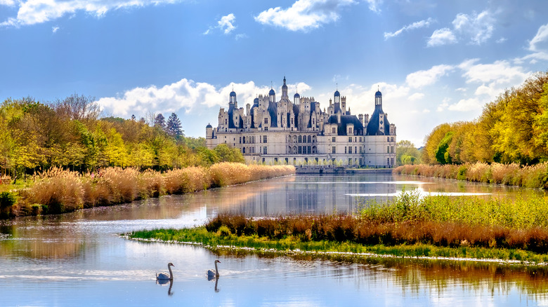 castle and river with swans, trees and blue sky