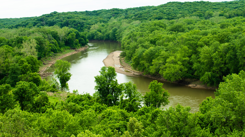 The greenery of Meramec River