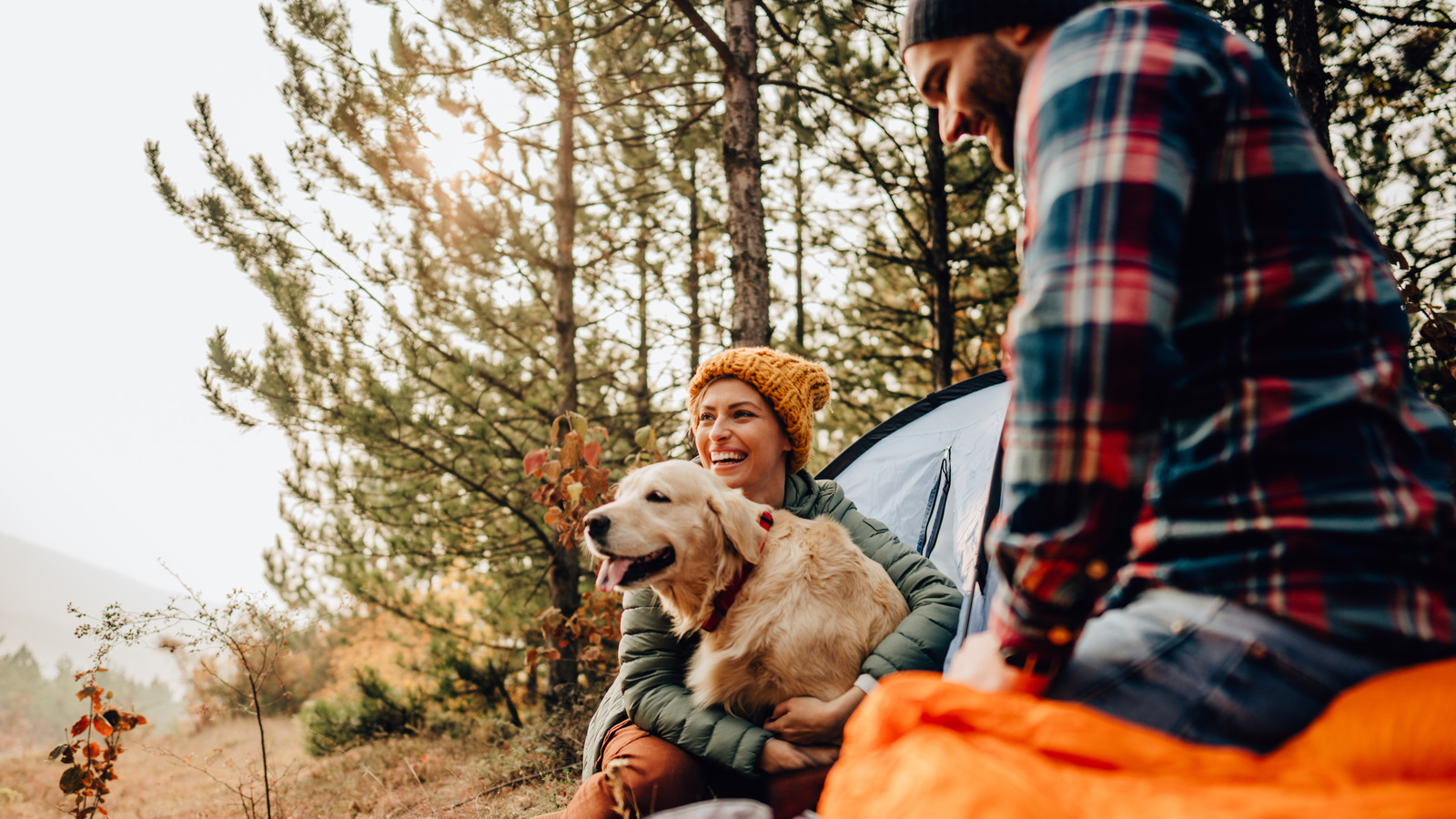 Camping with Dog