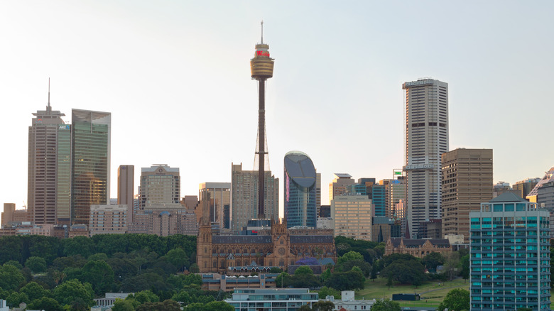 Sydney Tower and skyline