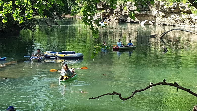 Kayaking on the Collins River