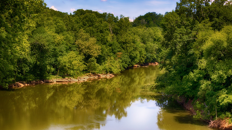 Tennessee's pretty Duck River