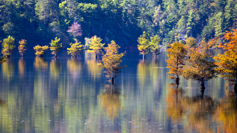 Parksville Lake in the fall