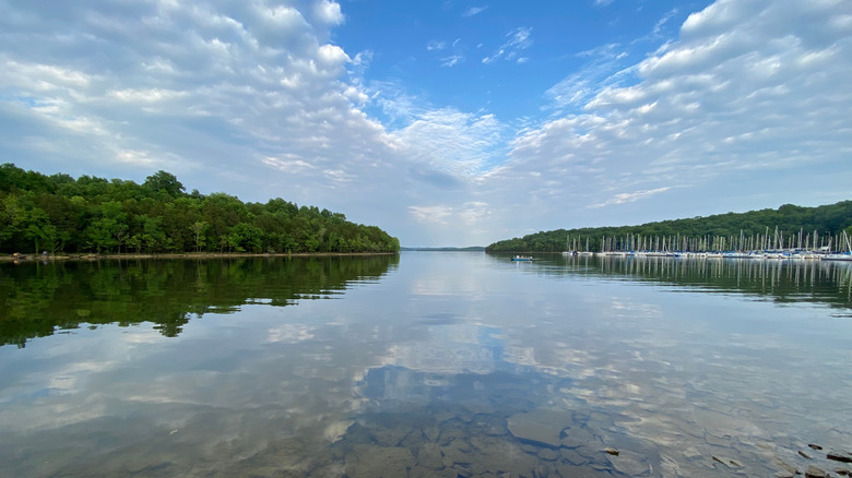 Beauty of Percy Priest Lake