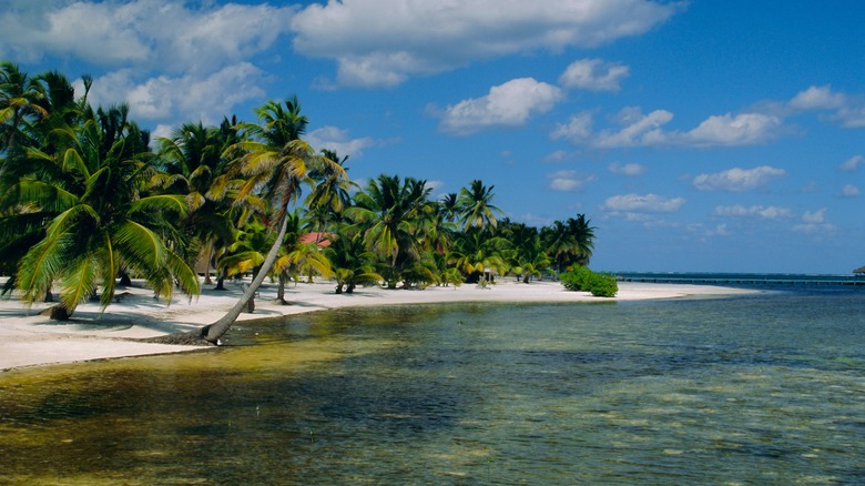 Ambergris Caye, Belize beach