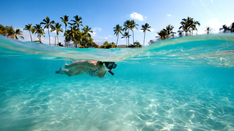 Big Island, Hawaii snorkeler